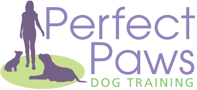 Perfect Paws 1 – 1 Dog Behaviour and Training